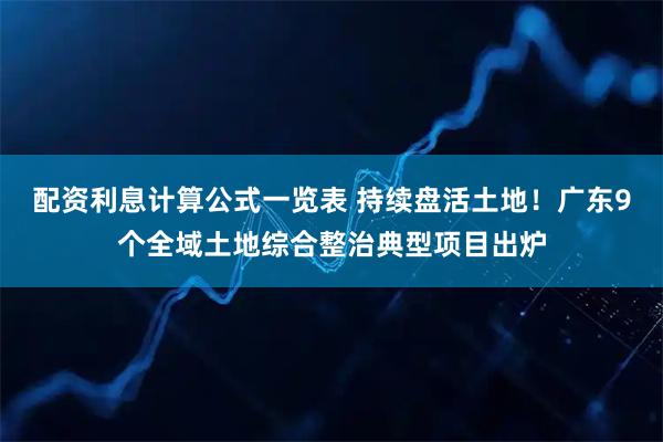 配资利息计算公式一览表 持续盘活土地！广东9个全域土地综合整治典型项目出炉
