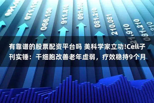 有靠谱的股票配资平台吗 美科学家立功!Cell子刊实锤：干细胞改善老年虚弱，疗效稳持9个月